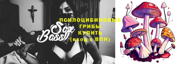МДПВ Алзамай