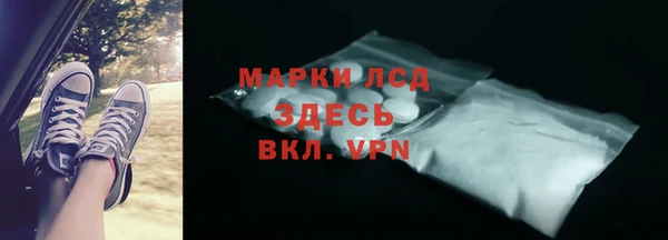 стаф Алексин