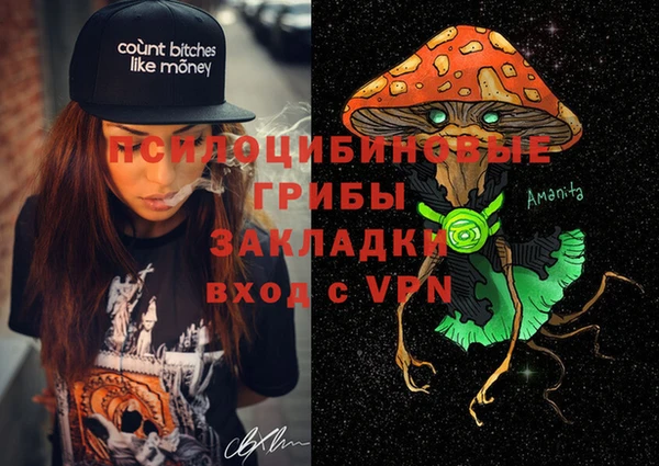 стаф Алексин