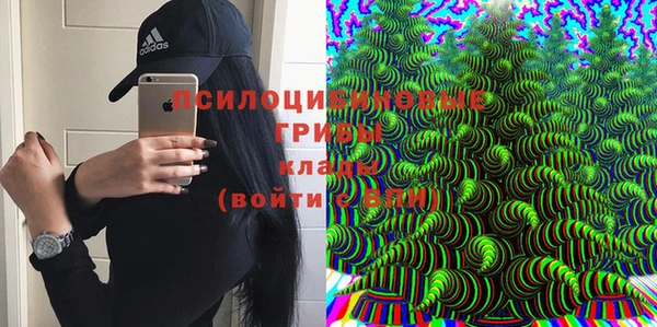 МДПВ Алексеевка